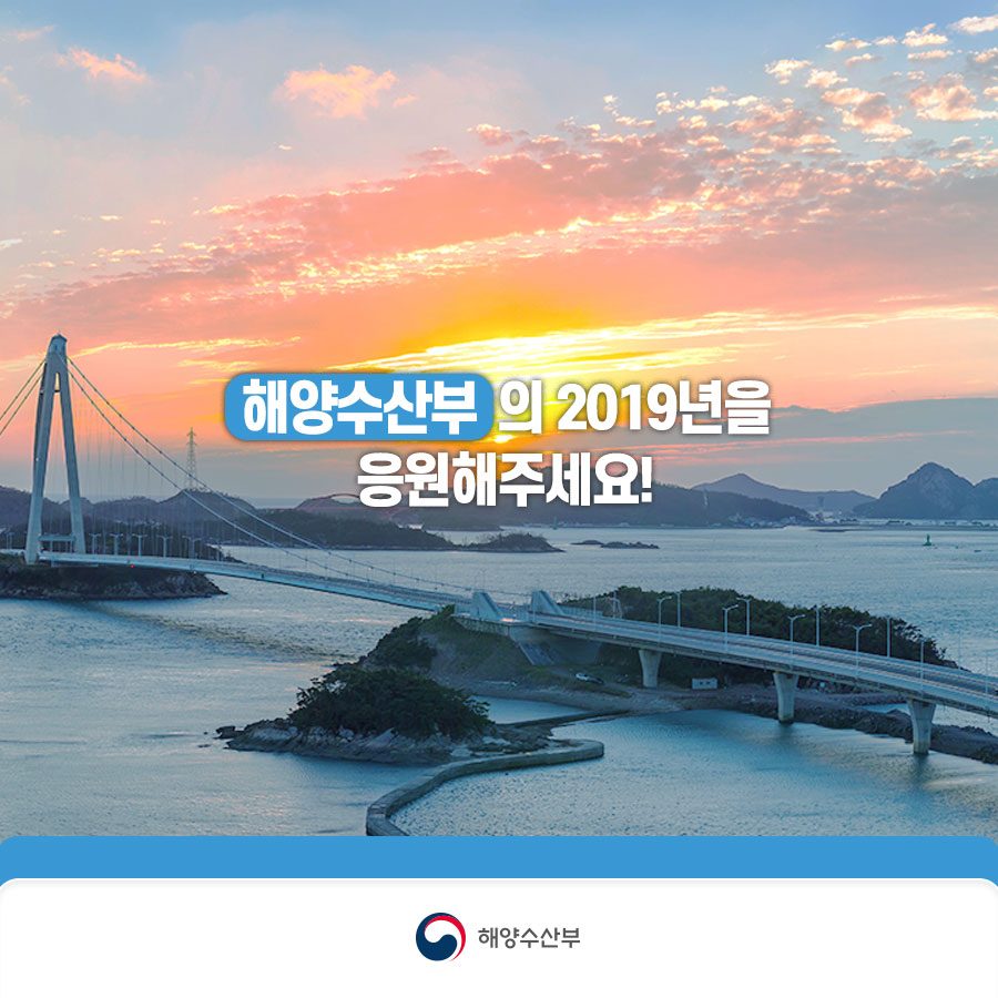카드뉴스