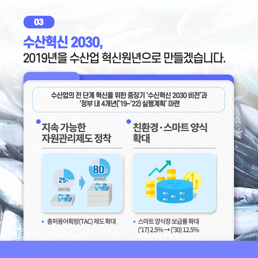 카드뉴스