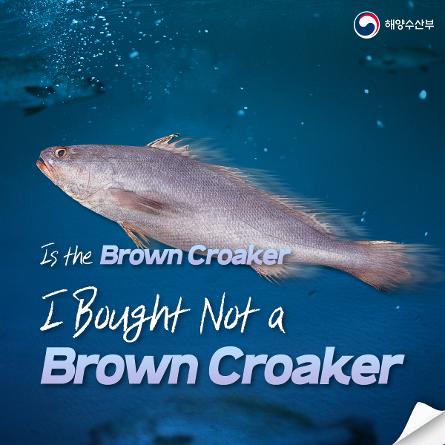 Is the Brown Croaker I Bought Not a Brown Croaker