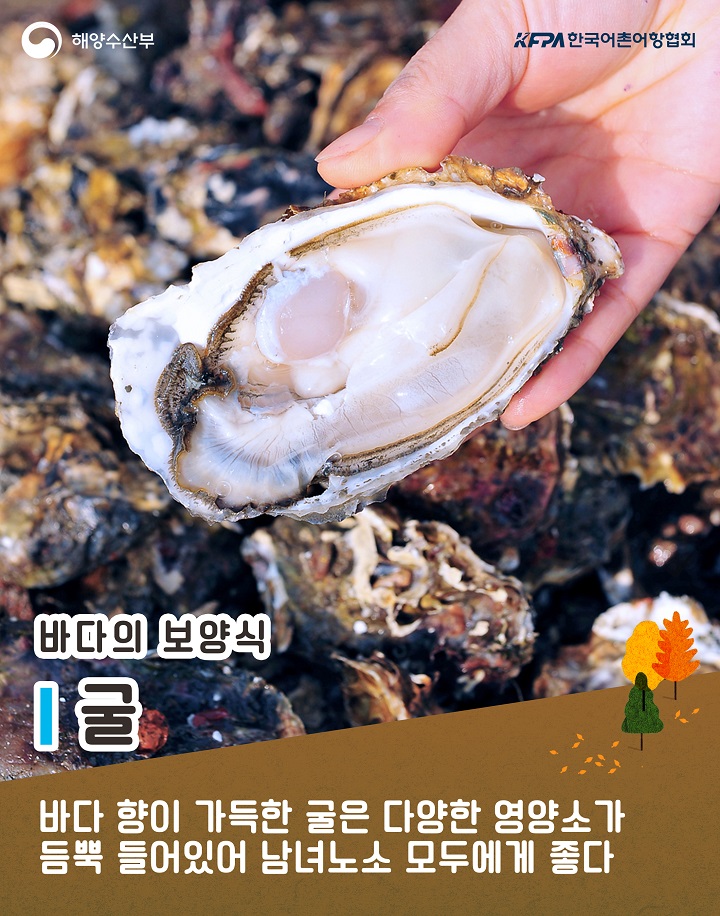해양수산부 KFPA한국어촌어항협회 바다의 보양식 1 굴 바다 향이 가득한 굴은 다양한 영양소가 듬뿍 들어 있어 남녀노소 모두에게 좋다 