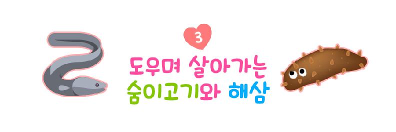 3도우며 살아가는 숨이고기와 해삼