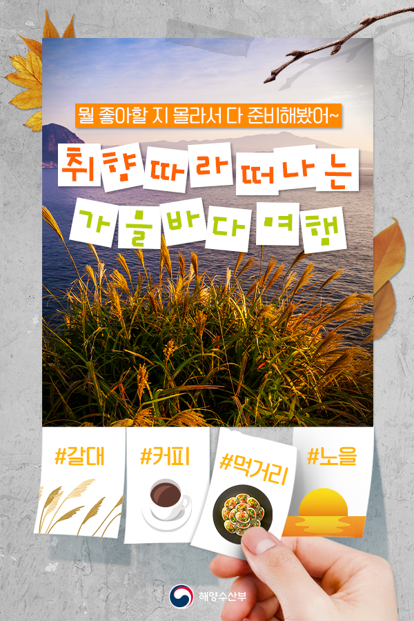 뭘 좋아할 지 몰라서 다 준비해봤어~ 취향다라 떠나는 가을바다 여행 #갈대 #커피 #먹거리 #노을 해양수산부