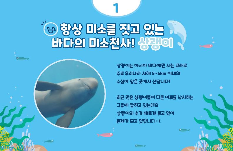 1 항상 미소를 짓고 있는 바다의 미소천사! 상괭이 상괭이는 아시아 바다에만 사는 고래로 주로 우리나라 서해 5~6km 이내의 수심이 얕은 곳에서 산답이다! 최근 많은 상괭이들이 다른 어류를 낚시하는 그물에 잡히고 있는데요 상괭이의 수가 빠르게 줄고 있어 문제가 되고 있답니다:(