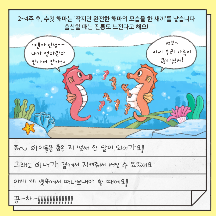 2~4주 후, 수컷 해마는 작지만 완전한 해마의 모습을 한 새끼를 낳습니다 출산할 때는 진통도 느낀다고 해요 애들아 안녕~~ 내가 엄마란다 만나서 반가워 여보~ 이제 우리 하족이 많아졌으