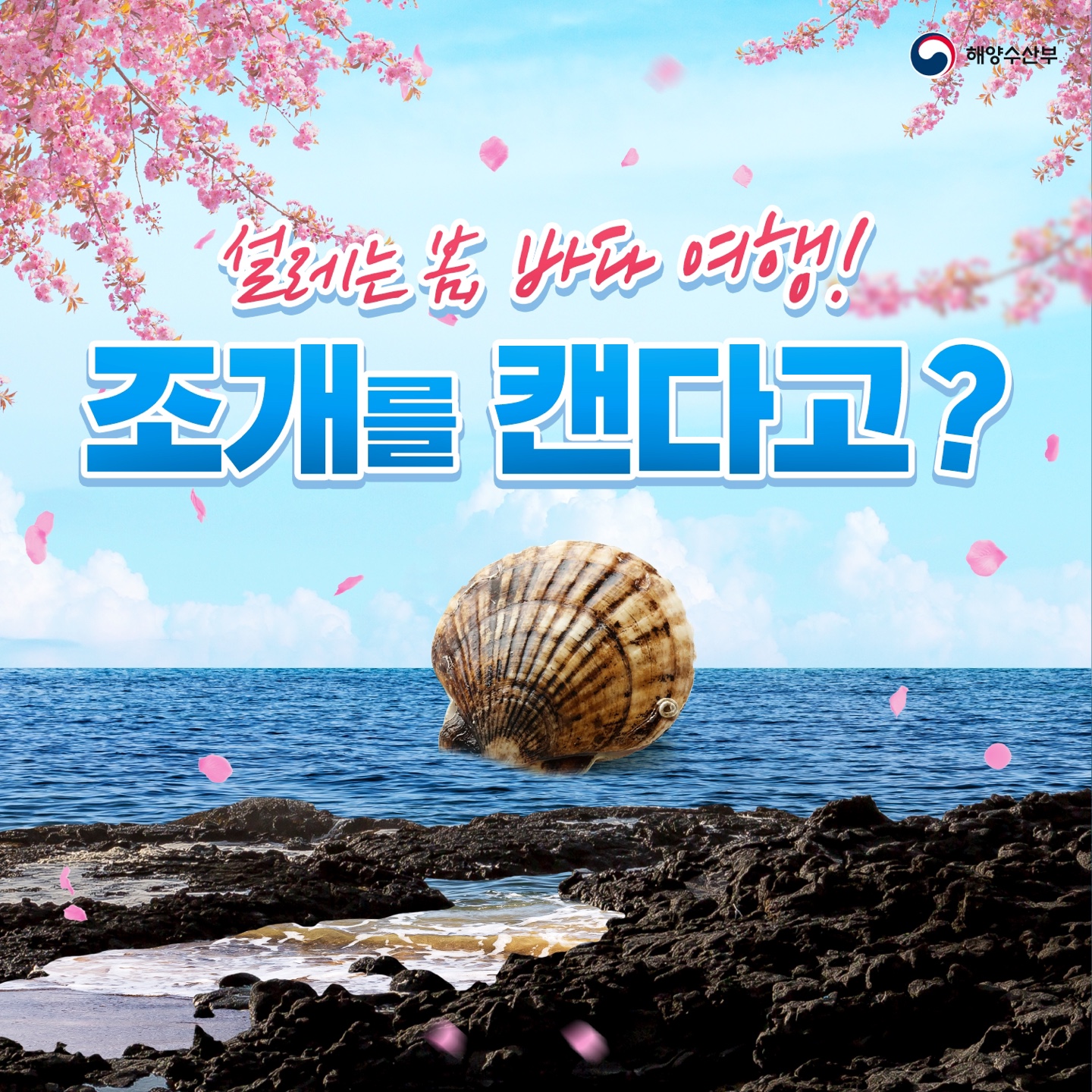 패류독소 안전성 조사