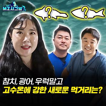 고수온에도 끄떡없는 새로운 양식 품종 개발! 국민생선의 판도가 바뀐다