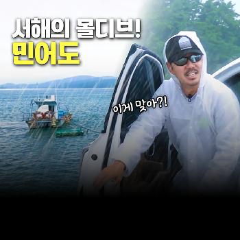 갯벌과 에메랄드 해변이 함께! 서해의 몰디브 민어도에 왔습니다! │들섬날섬2 EP.2
