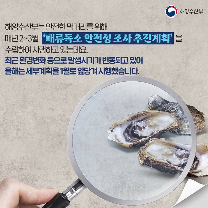 해양수산부 해양수산부는 안전한 먹거리를 위해 매년 2~3월 패류독소 안전성 조사 추진계획을 수립하여 시행하고 있는데요. 최근 환경변화등으로 발생시기가 변동되고 있어 올해는 세부계획을 1월로 앞당겨 시행했습니다.