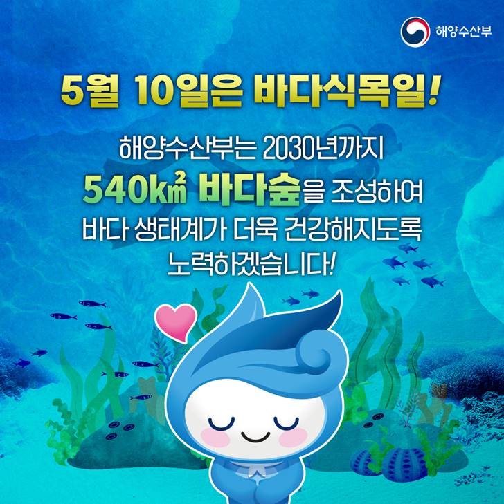 5월 10일은 바다식목일! 해양수산부는 2030년까지 540km2 바다숲을 조성하여 바다 생태계가 더욱 건강해지도록 노력하겠습니다