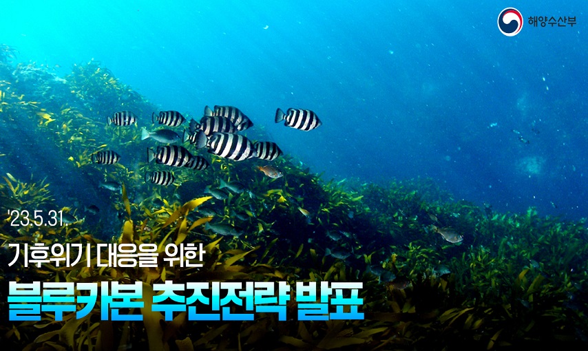해양수산부
23.5.31 기후위기 대응을 위한
블루카본  추진전략 발표