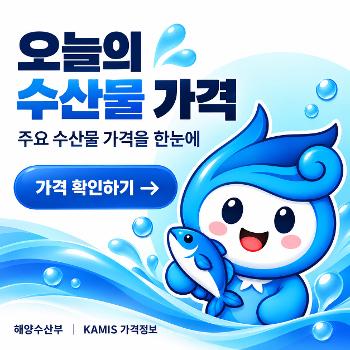 오늘의 수산물 가격
